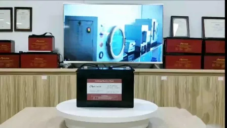 Cspower Battery 60ah Storage Battery LiFePO4 24V 60ah Solar Battery Storage 